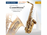 CannWood Saxophone_ _ Professional Class _ CAS_5700DG _